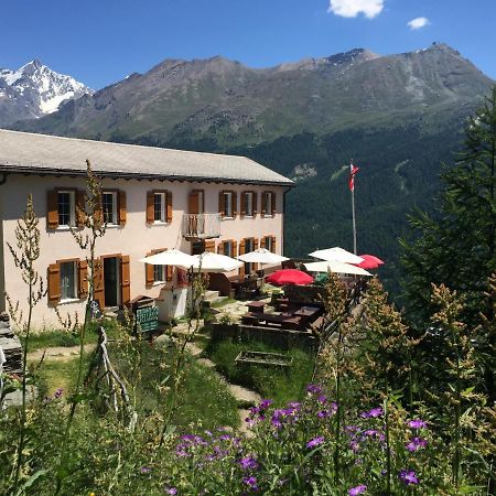 Edelweiss Mountain Guest House - 1 Hour Hike Up From Zermatt Station - On Hiking Trail - No Transport Buitenkant foto