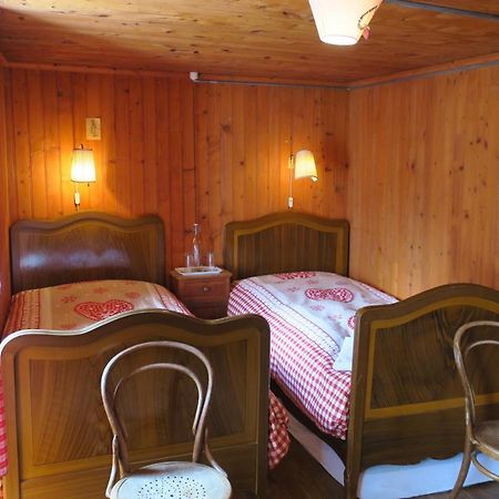 Edelweiss Mountain Guest House - 1 Hour Hike Up From Zermatt Station - On Hiking Trail - No Transport Buitenkant foto